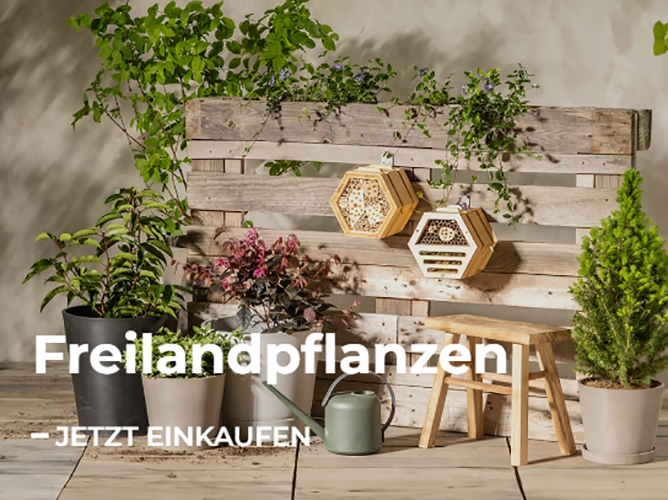 Pflanzen Blumentopf Geschäft -Pflanzen Blumentopf Geschäft 04f97b6e3dedc55ca358abceb6e56b5d