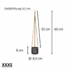 Hanging Charlie Schwarz 15 Hanging Charlie Schwarz -Pflanzen Blumentopf Geschäft 20