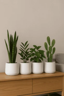 4x Patt White Washed Ø:23 XL