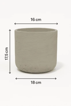 4x Charlie Grey Washed Ø:18 M 7 4x Charlie Grey Washed Ø:18 M -Pflanzen Blumentopf Geschäft 20250420 1655 ZylindrischerTopfmitMassen remix 01js9v0btte34an0cnvta5zbfr