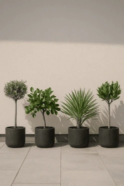 4x Charlie Black Washed Ø:25 L