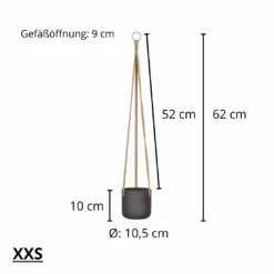 Hanging Charlie Schwarz 16 Hanging Charlie Schwarz -Pflanzen Blumentopf Geschäft 22