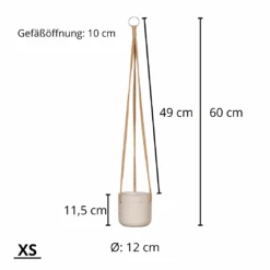 Hanging Charlie Grau 15 Hanging Charlie Grau -Pflanzen Blumentopf Geschäft 23