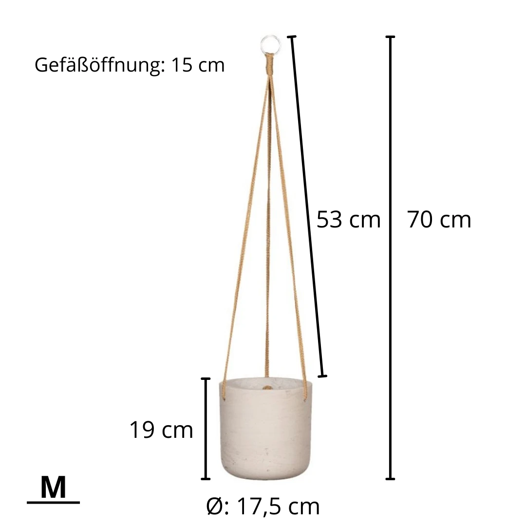 Hanging Charlie Grau 10 Hanging Charlie Grau – Bild 8