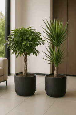 2x Charlie Black Washed Ø:25 L