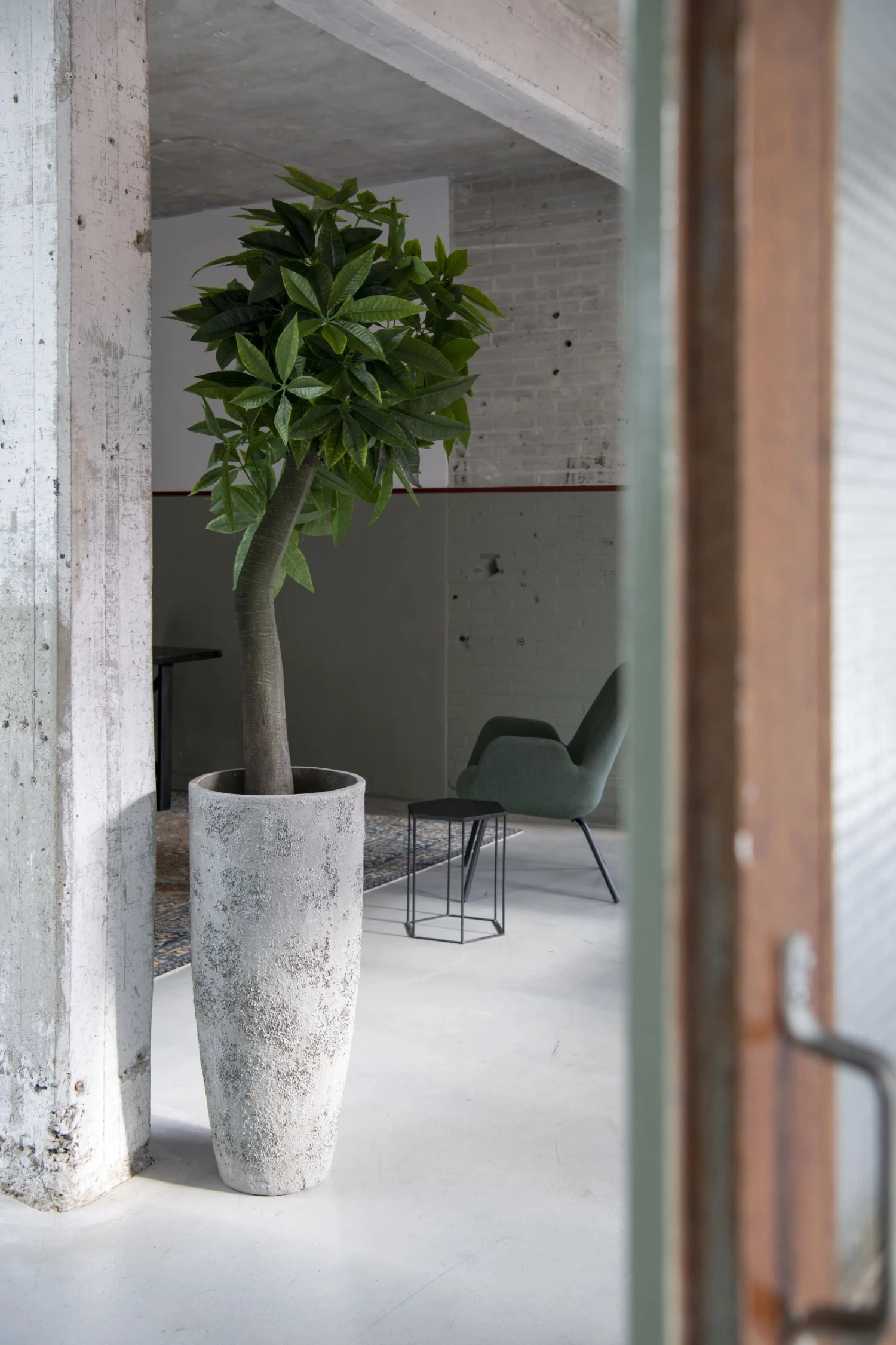 Dax Oyster Imperial Weiß 3 Dax Oyster Imperial Weiß