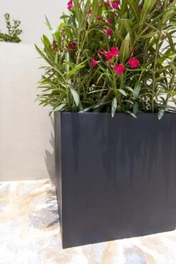 Block Fiberstone Schwarz 8 Block Fiberstone Schwarz -Pflanzen Blumentopf Geschäft Block5