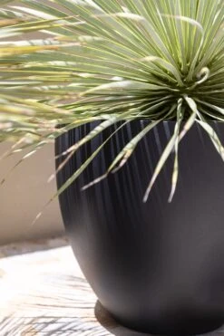 Jesslyn Fiberstone Schwarz 8 Jesslyn Fiberstone Schwarz -Pflanzen Blumentopf Geschäft Blub