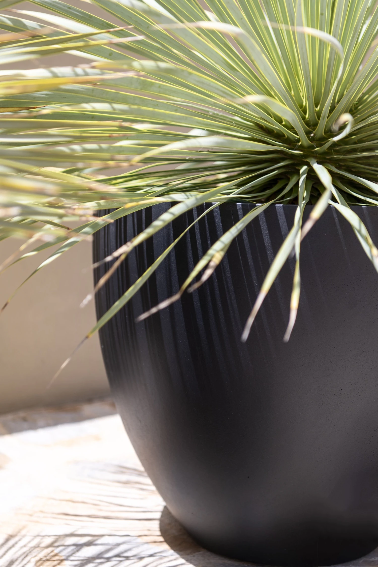 Jesslyn Fiberstone Schwarz 5 Jesslyn Fiberstone Schwarz – Bild 3