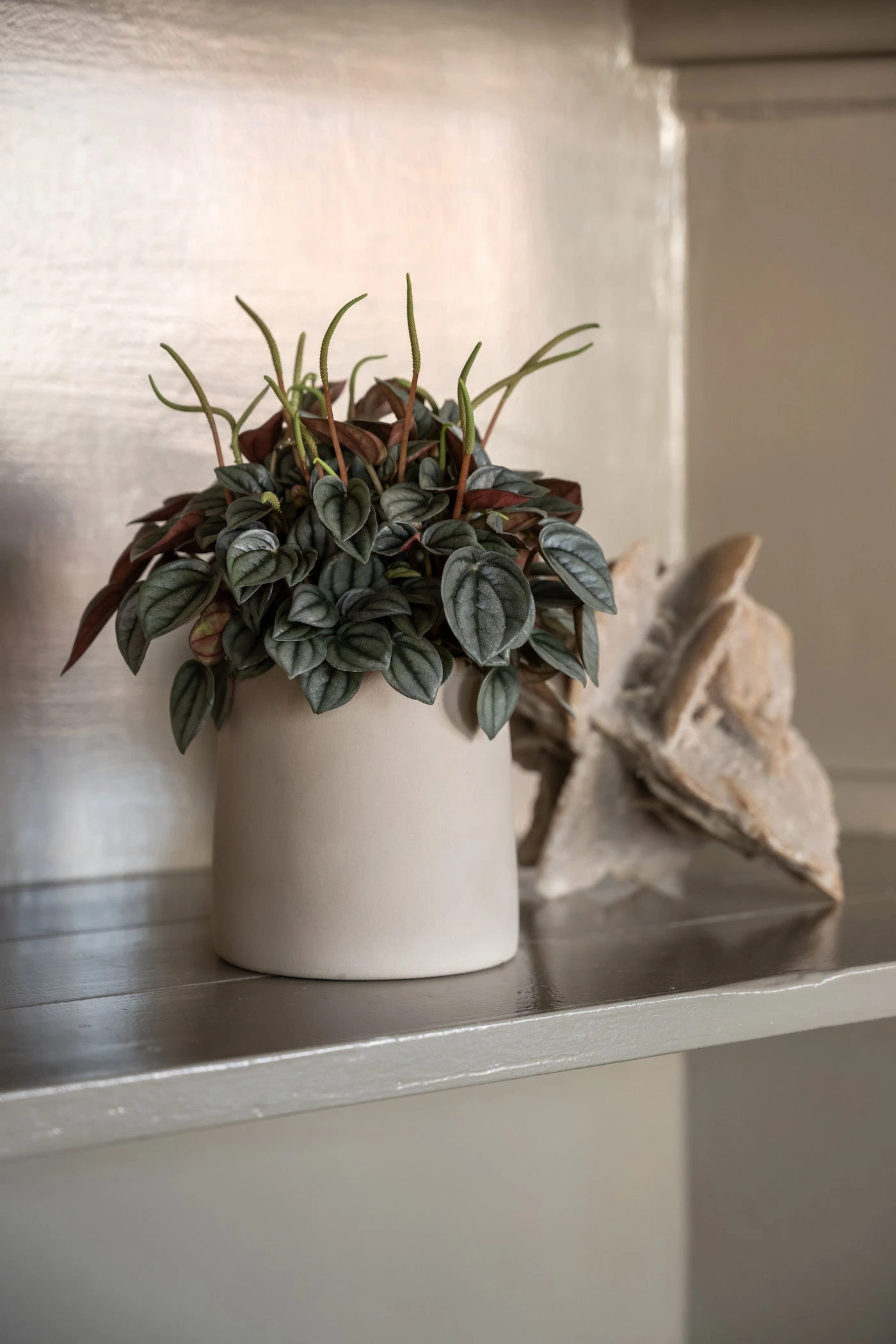 Sofia Beige 3 Sofia Beige