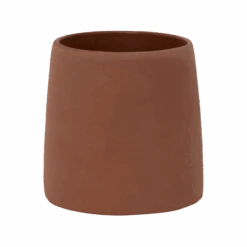 Sofia Braun 7 Sofia Braun -Pflanzen Blumentopf Geschäft C2211 11 CP