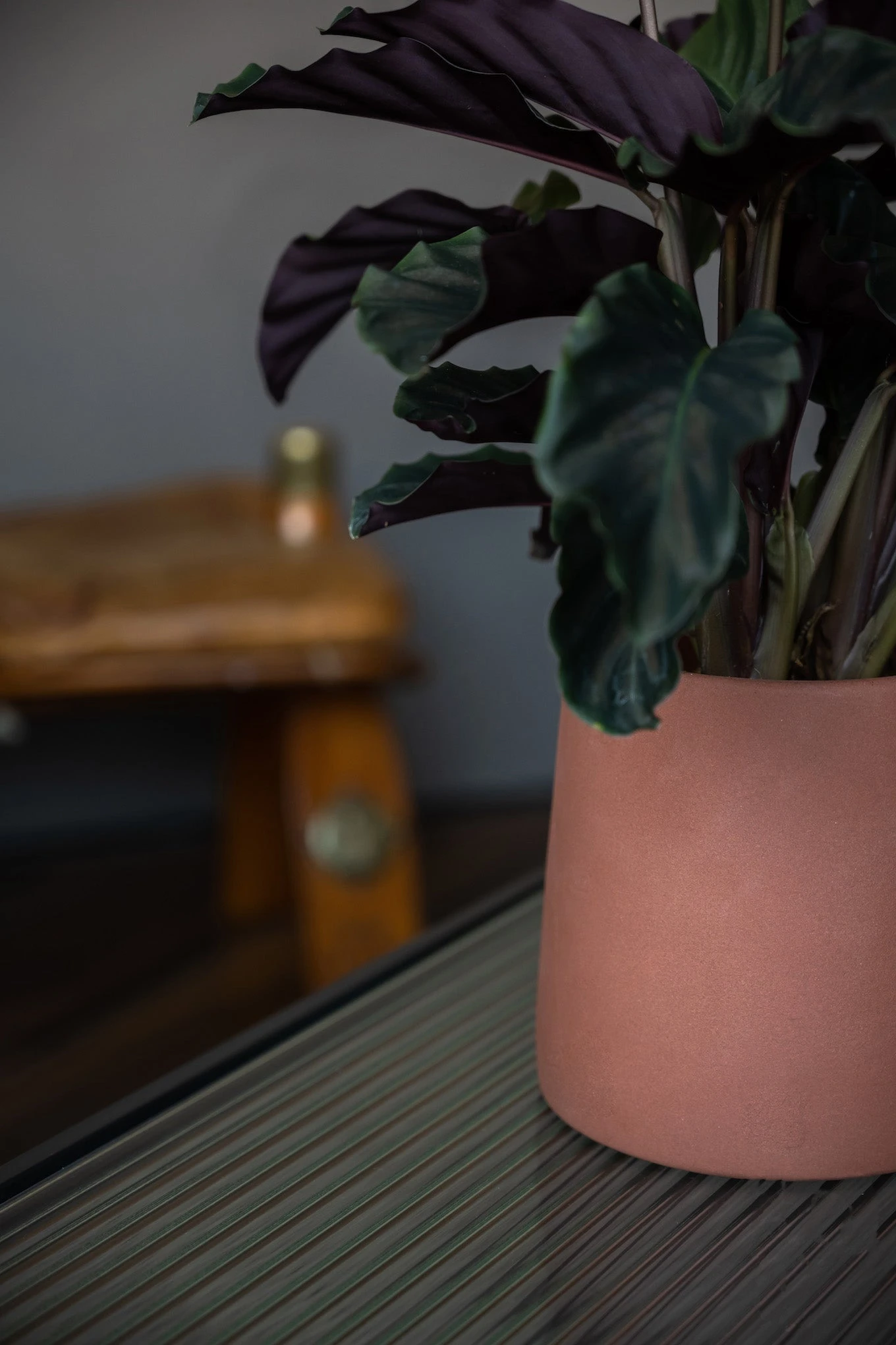 Sofia Braun 4 Sofia Braun – Bild 2