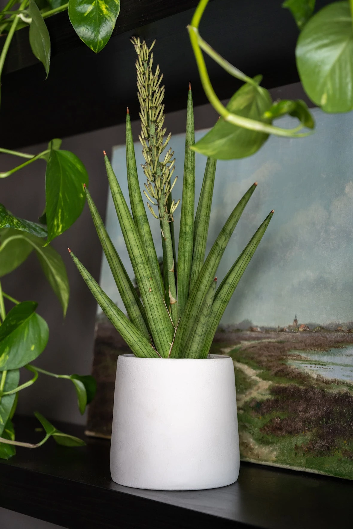 Sofia Natur Weiß 3 Sofia Natur Weiß