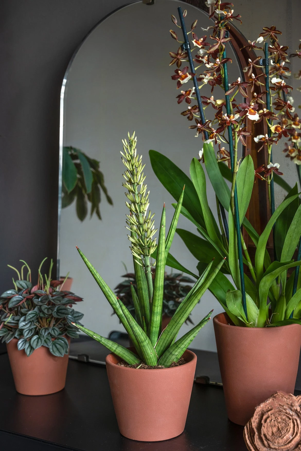 Inez Braun 2 Inez Braun