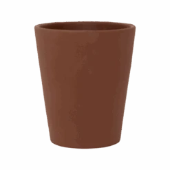 Rosa Braun 7 Rosa Braun -Pflanzen Blumentopf Geschäft C2213 16 CP