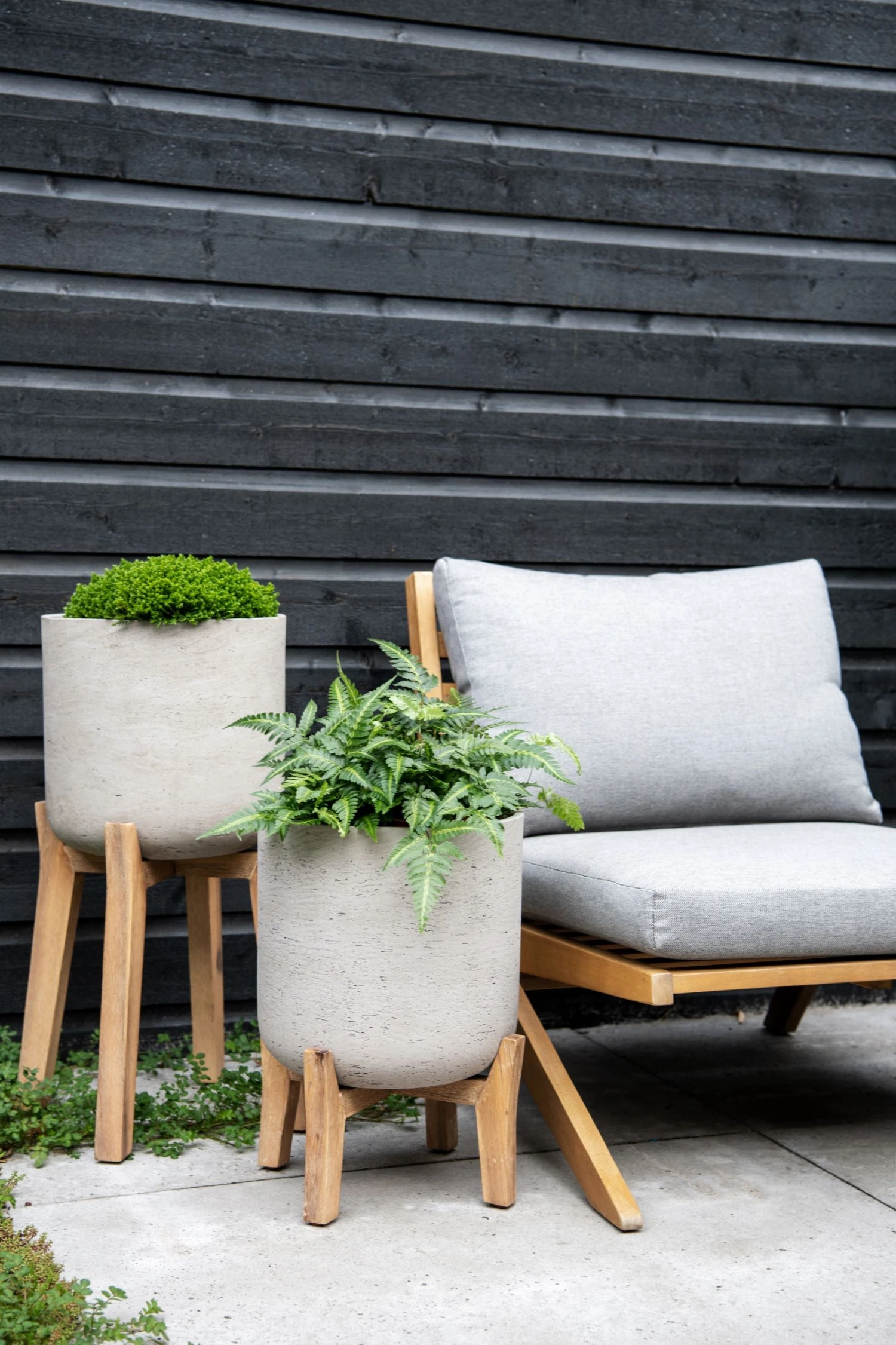 Charlie Grey Washed Feet High 5 Charlie Grey Washed Feet High – Bild 3