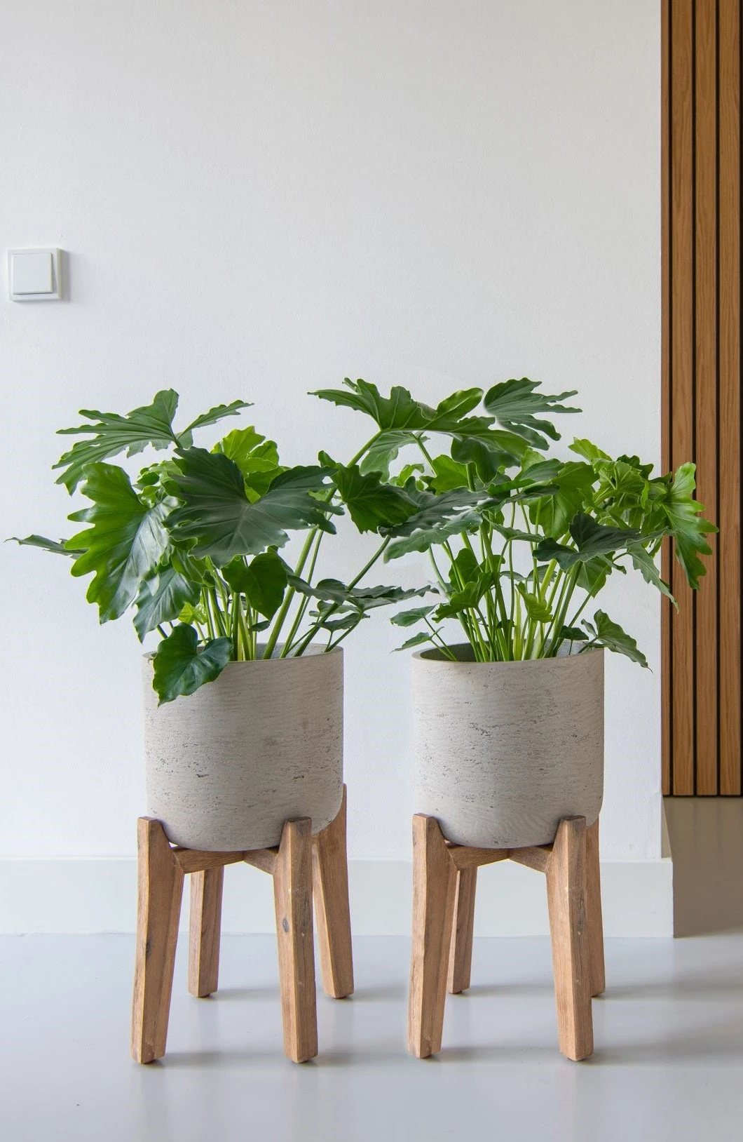 Charlie Grey Washed Feet High 3 Charlie Grey Washed Feet High