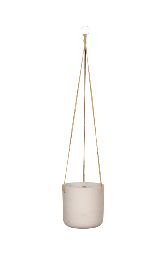 Hanging Charlie Grau 5 Hanging Charlie Grau – Bild 3