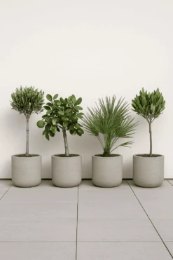 4x Charlie Grey Washed Ø:25 L