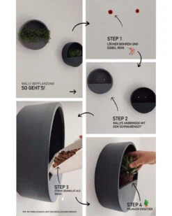 Hanging Wally Handgefertigt Aus Fiberstone 8er Set 11 Hanging Wally Handgefertigt Aus Fiberstone 8er Set -Pflanzen Blumentopf Geschäft Collage Anleitung Q cbf2962c d532 43de 8195 83fbe7b4715e