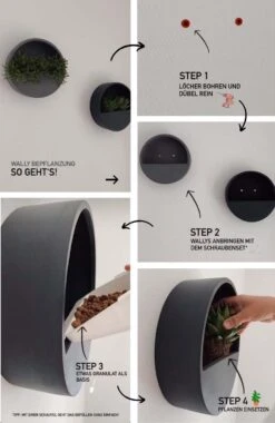 Hanging Wally Handgefertigt Aus Fiberstone 12er Set 7 Hanging Wally Handgefertigt Aus Fiberstone 12er Set -Pflanzen Blumentopf Geschäft Collage Anleitung fdcf40e2 07dc 4995 951f 37e58eb691f7 2