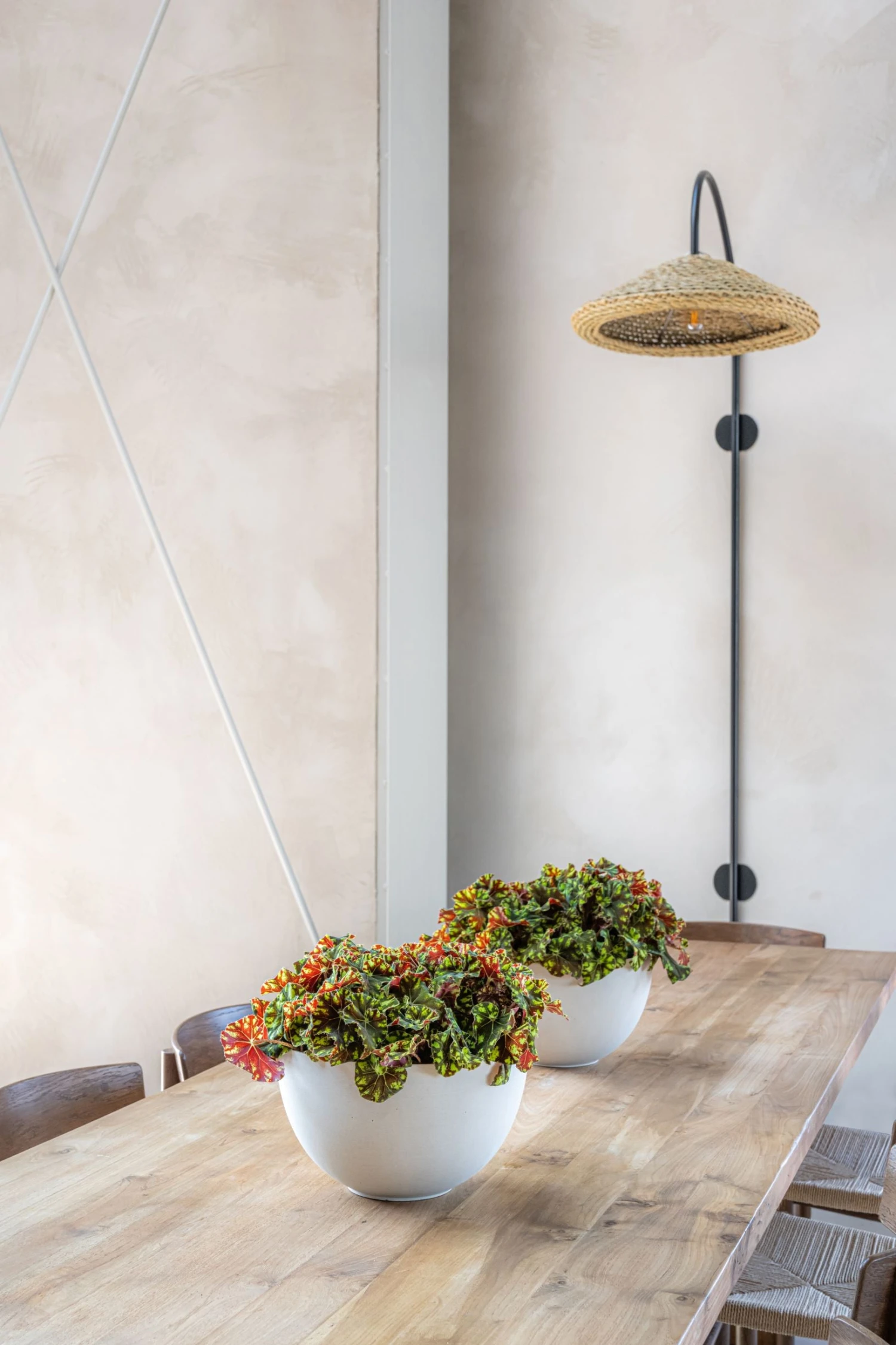 Peter Natur Weiß 3 Peter Natur Weiß