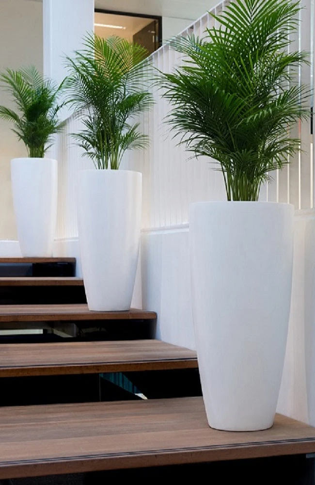 Dax Matt Weiß 4 Dax Matt Weiß – Bild 2