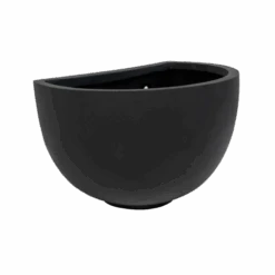 Hanging Wally Peter Schwarz