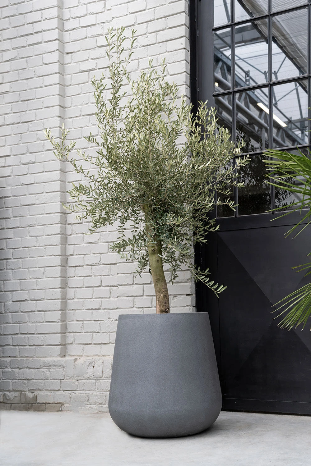 Pax Fiberstone Grau 3 Pax Fiberstone Grau