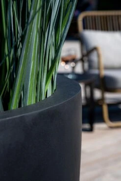 Gras Künstlich H: 173cm -Pflanzen Blumentopf Geschäft E1051 72 01 4 1f29152d e205 49d4 bb43 5f709cb55259