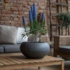 Cora Fiberstone Grau 1 Cora Fiberstone Grau -Pflanzen Blumentopf Geschäft E1111 36 03 2