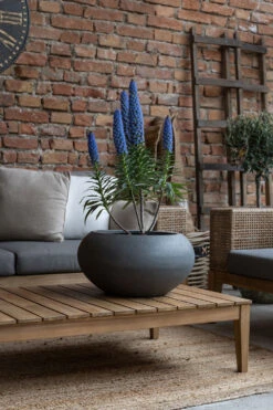 Cora Fiberstone Grau