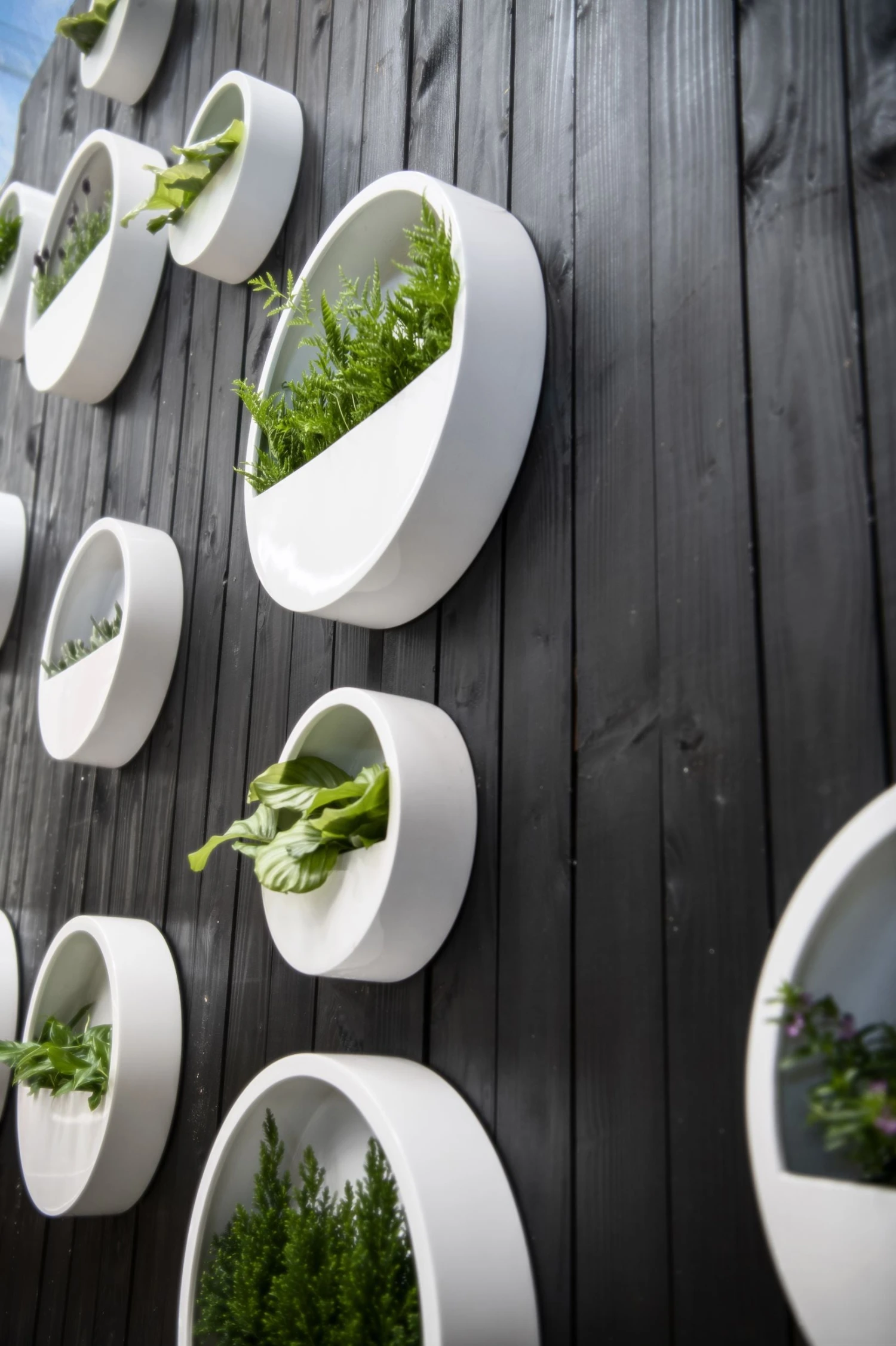 Hanging Wally Hochglanz Weiß 4 Hanging Wally Hochglanz Weiß – Bild 2