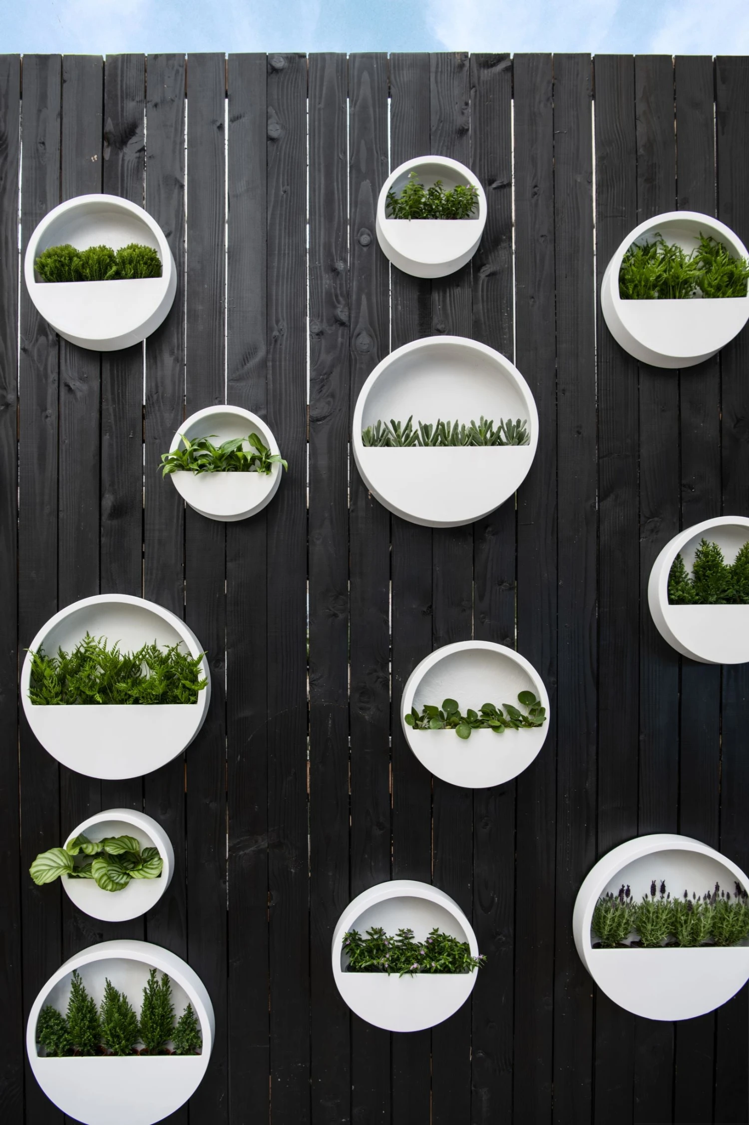 Hanging Wally Hochglanz Weiß 3 Hanging Wally Hochglanz Weiß