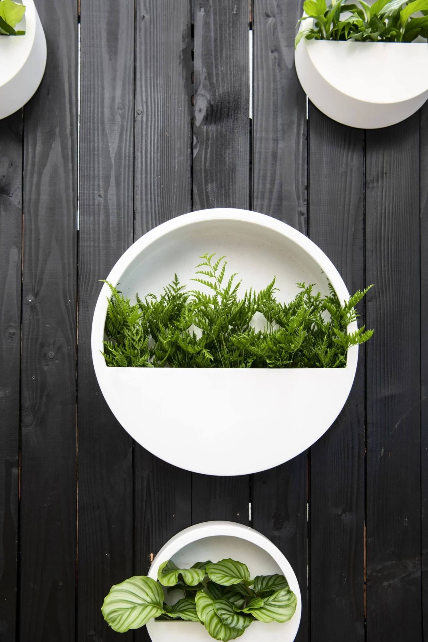 Hanging Wally Hochglanz Weiß 5 Hanging Wally Hochglanz Weiß – Bild 3