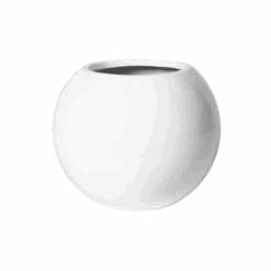 Beth Hochglanz Weiß 11 Beth Hochglanz Weiß -Pflanzen Blumentopf Geschäft E3002 S1 W 1