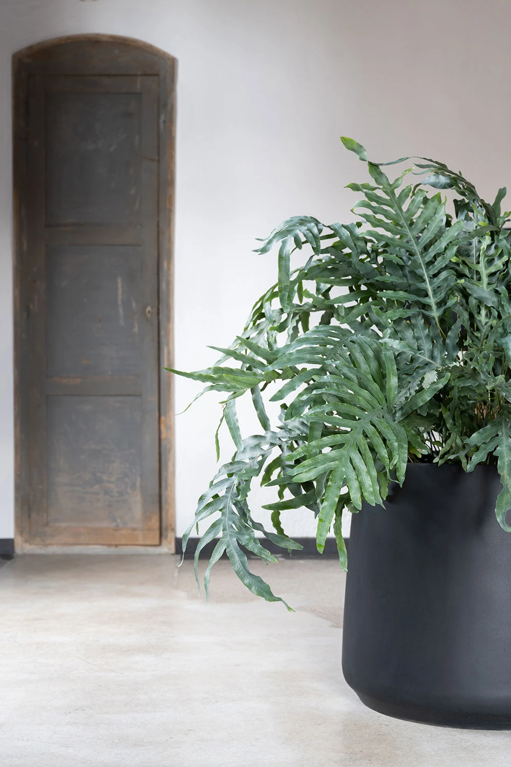 Jumbo Patt Fiberstone Schwarz 5 Jumbo Patt Fiberstone Schwarz – Bild 3