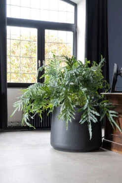 Jumbo Patt Fiberstone Schwarz