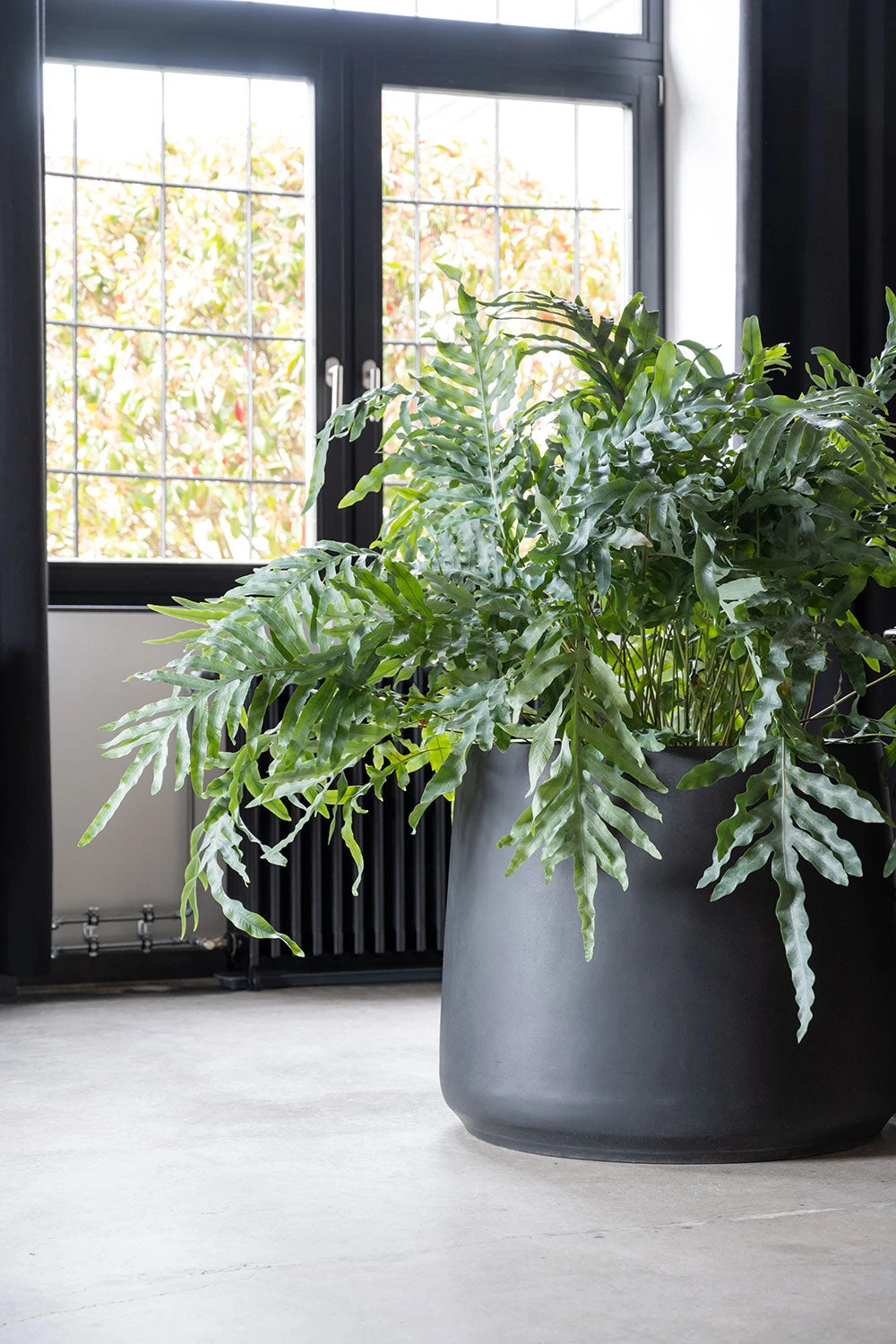 Jumbo Patt Fiberstone Schwarz 4 Jumbo Patt Fiberstone Schwarz – Bild 2