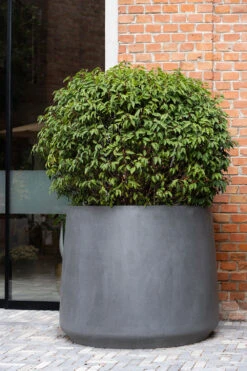 Jumbo Patt Fiberstone Grau