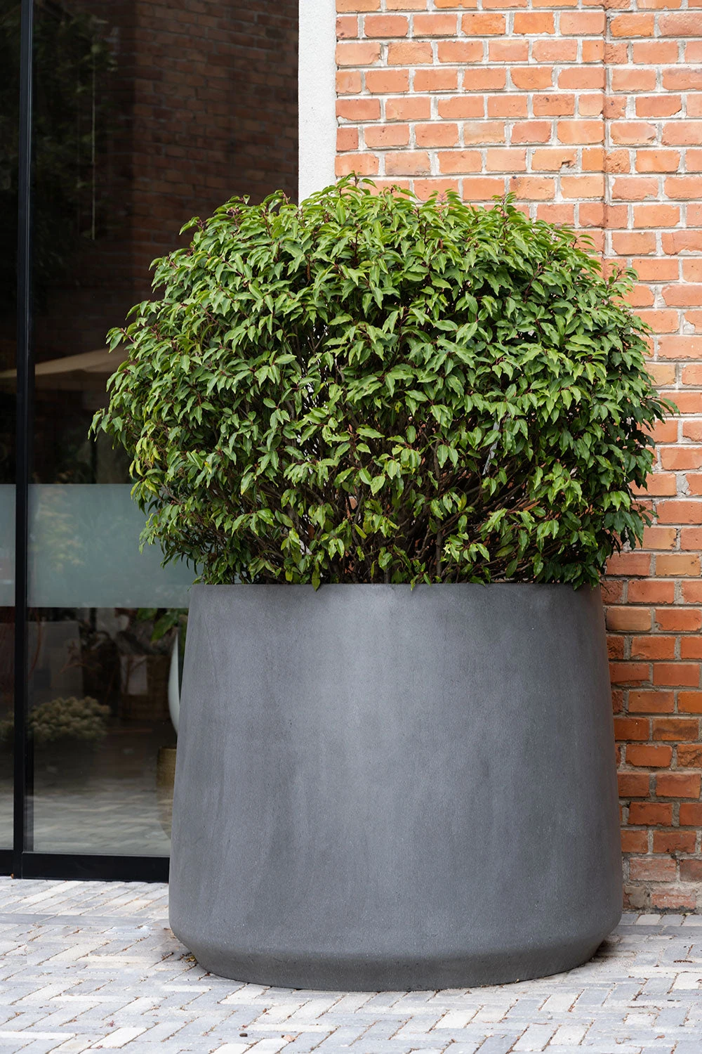 Jumbo Patt Fiberstone Grau 3 Jumbo Patt Fiberstone Grau