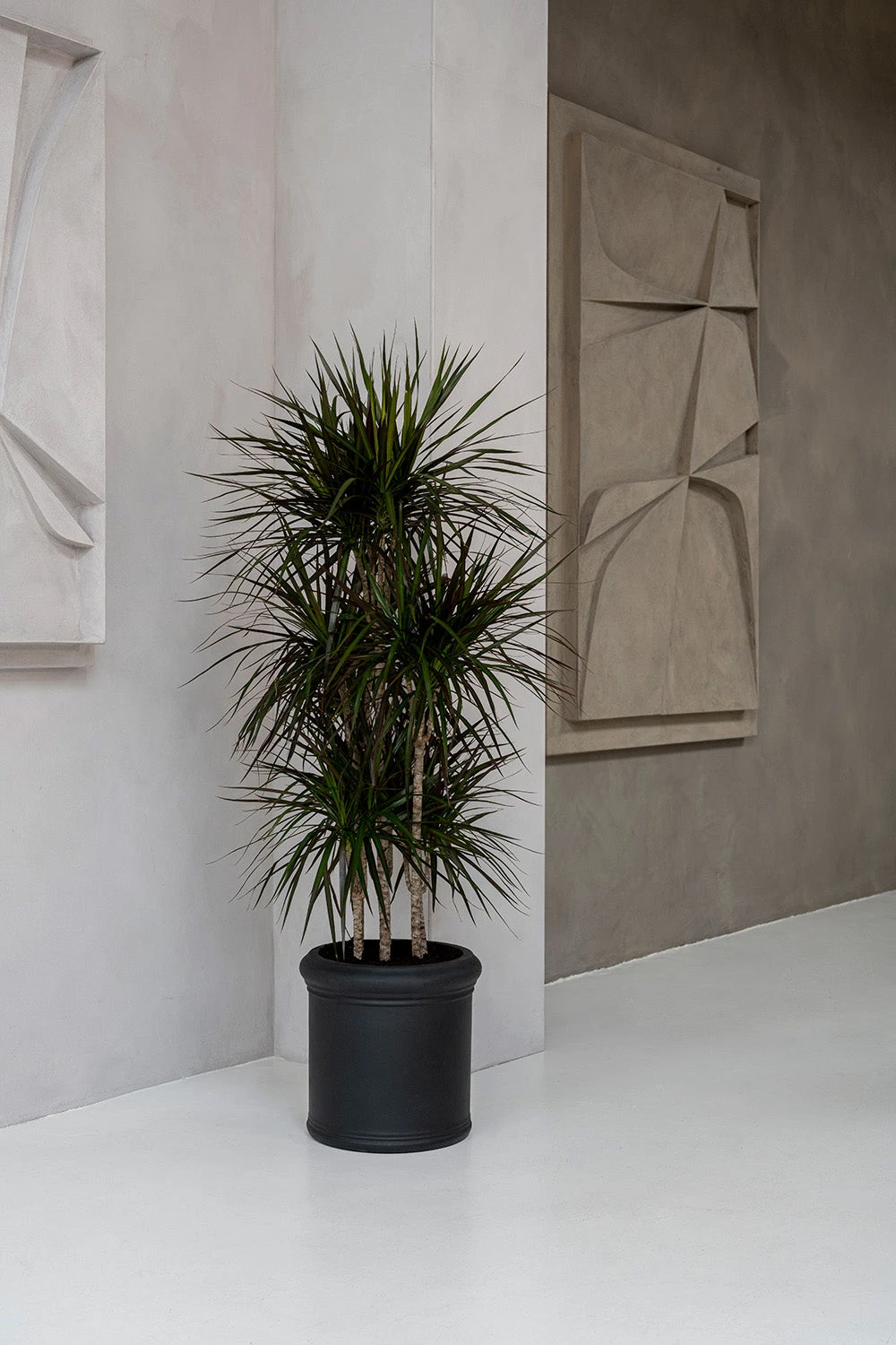 Max Classic Schwarz 3 Max Classic Schwarz