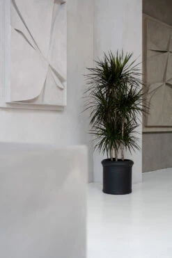 Max Classic Schwarz 8 Max Classic Schwarz -Pflanzen Blumentopf Geschäft E4014 43 01 4 1