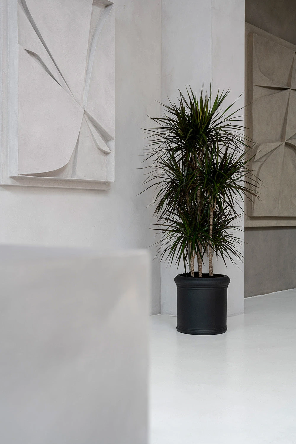 Max Classic Schwarz 4 Max Classic Schwarz – Bild 2