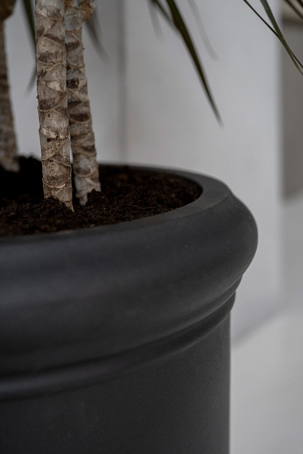 Max Classic Schwarz 5 Max Classic Schwarz – Bild 3