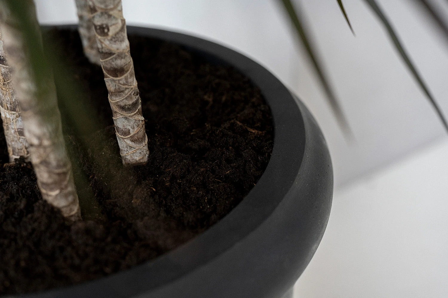 Max Classic Schwarz 6 Max Classic Schwarz – Bild 4