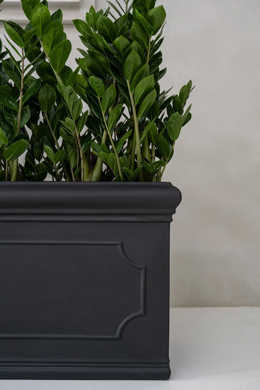 Jort Classic Schwarz 4 Jort Classic Schwarz – Bild 2