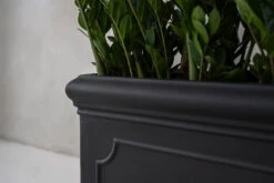 Jort Classic Schwarz 8 Jort Classic Schwarz -Pflanzen Blumentopf Geschäft E4066 S1 01 8 1