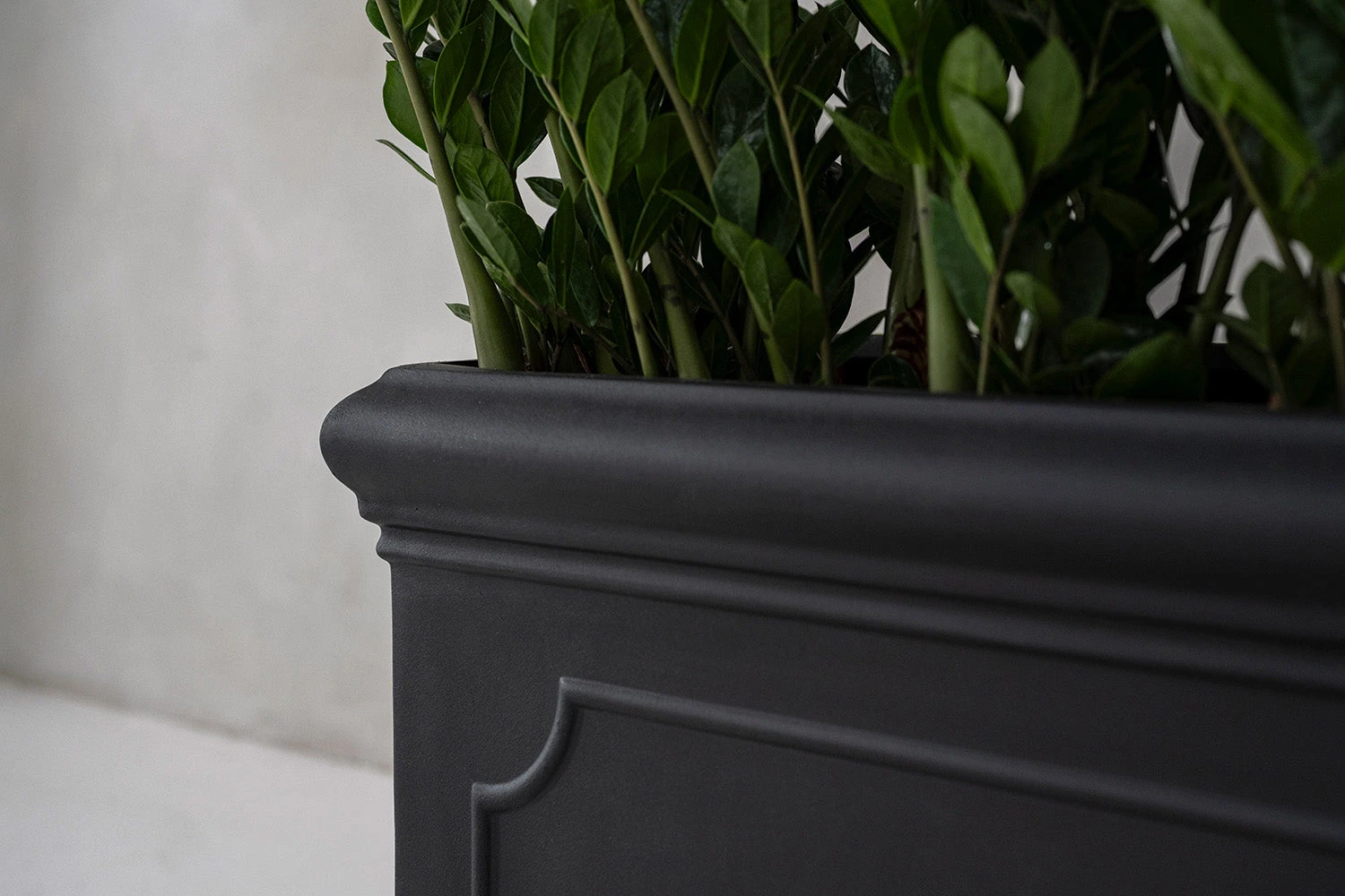 Jort Classic Schwarz 5 Jort Classic Schwarz – Bild 3