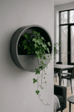 Efeu Pittsburgh 2er Set 8 Efeu Pittsburgh 2er Set -Pflanzen Blumentopf Geschäft Efeu Wandgefaess bepflanzt hanging wally 28bffbd5 abac 49aa b1b5 5917d0fd22e2